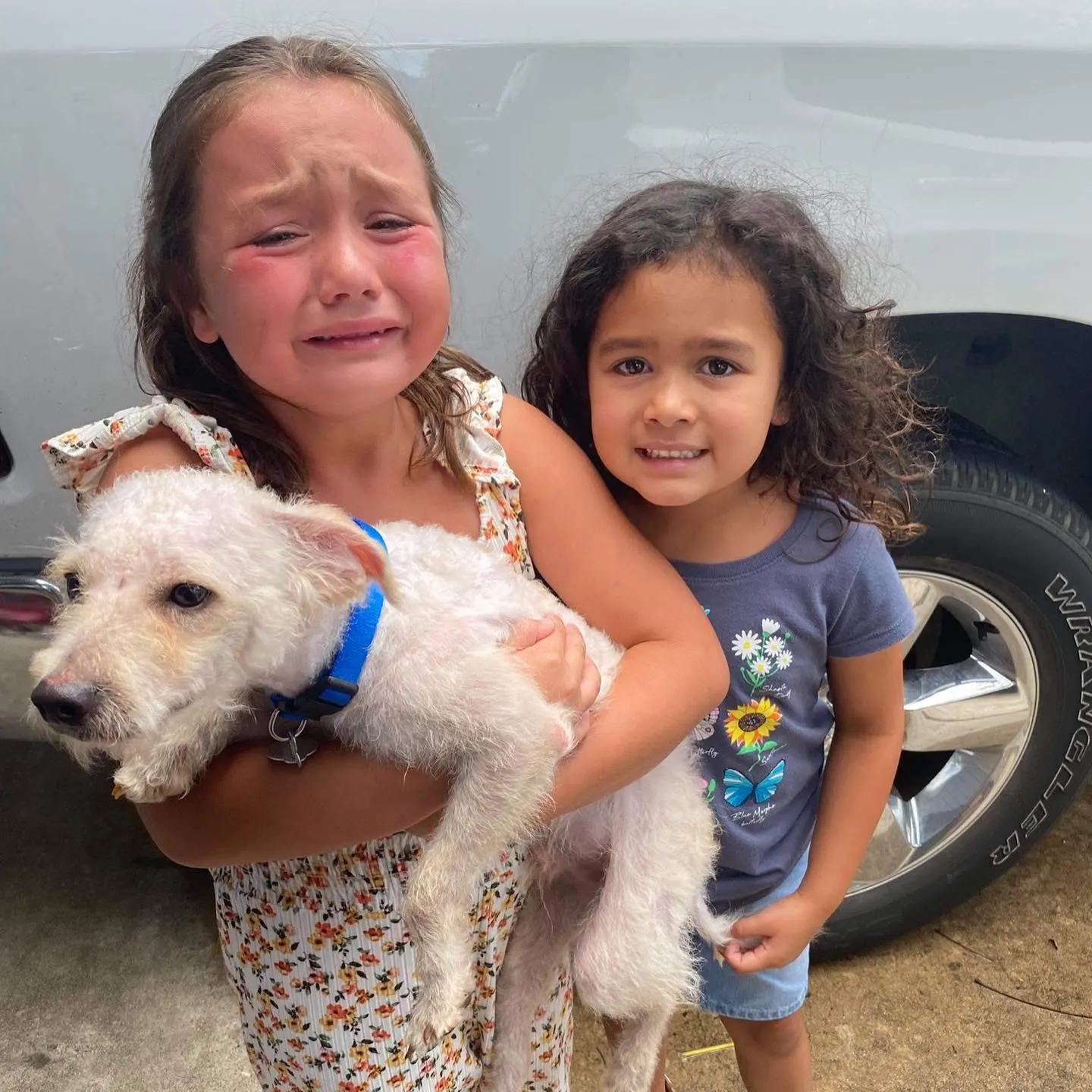 girl crying while holding the dog and standing next to other girl