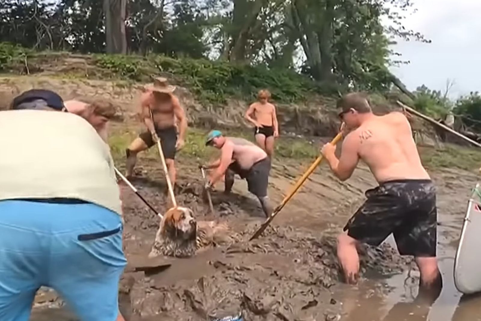 group of men helping the dog stuck in mud