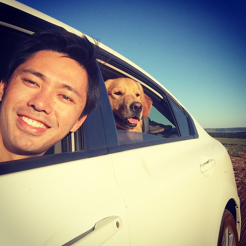 man and dog looking through car window