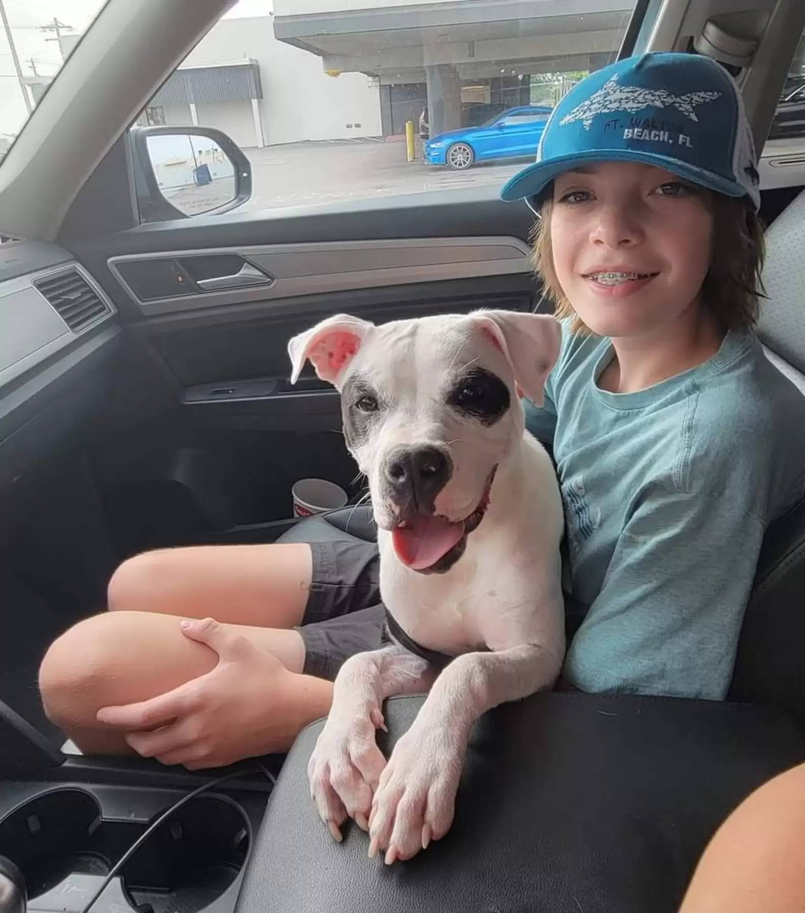 the dog is sitting on the girl's lap in the car