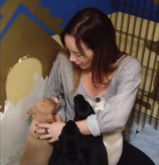woman holding puppies