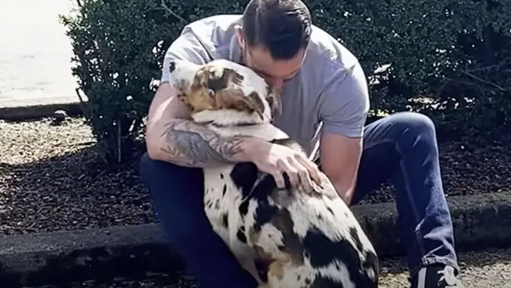 A Scared And Lonely Dog Finally Feels Safe After Hugging His New Dad