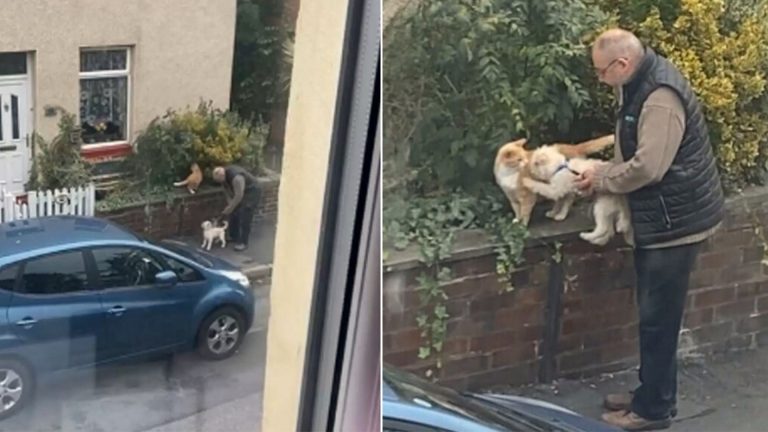 man holding his dog next to a cat outside