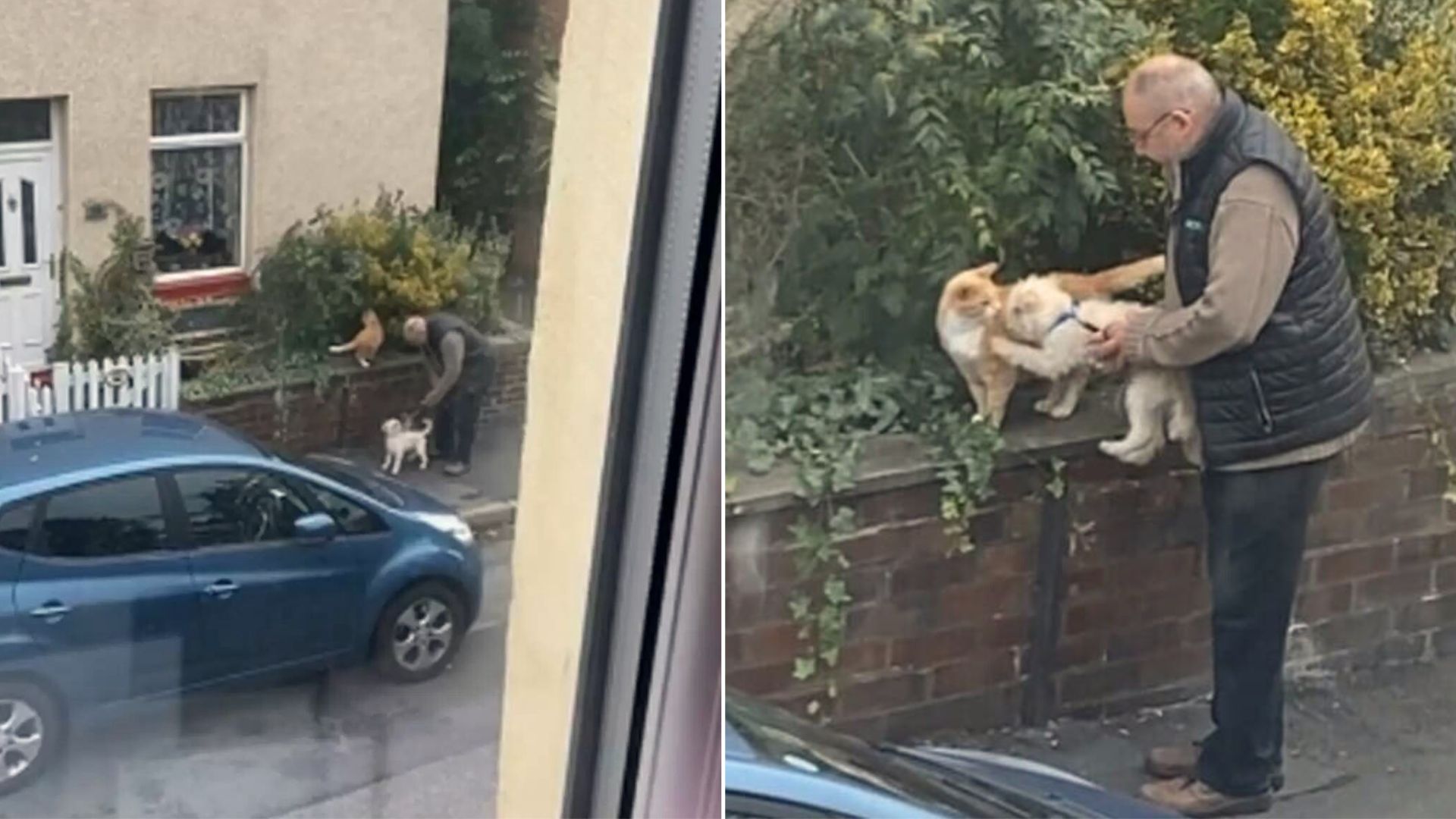 man holding his dog next to a cat outside