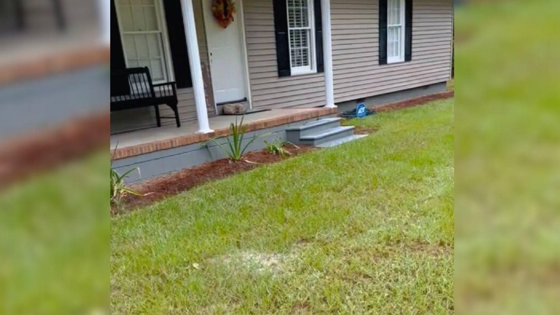 Woman Came Back Home Only To See An Adorable Visitor Lying On The Doormat And Waiting