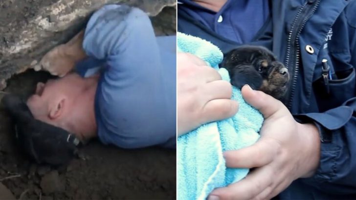 Brave Officers Saved A Puppy Stuck In A Pipe And Reunited Him With His Mommy 