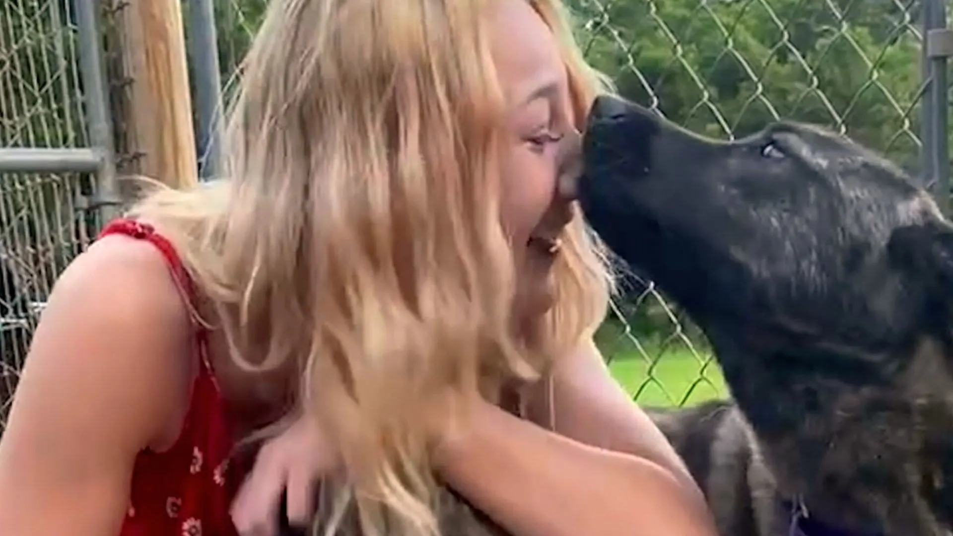 Dog Escapes Euthanasia And Reunites With Her Mom After Being Missing For Months