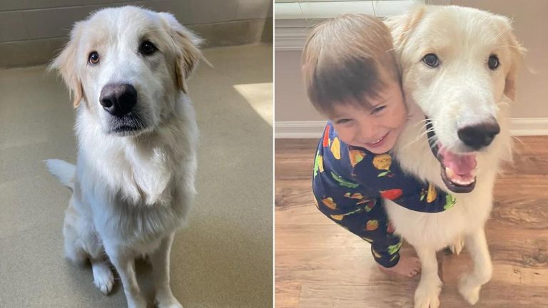 photo of a little boy hugging the adopted dog