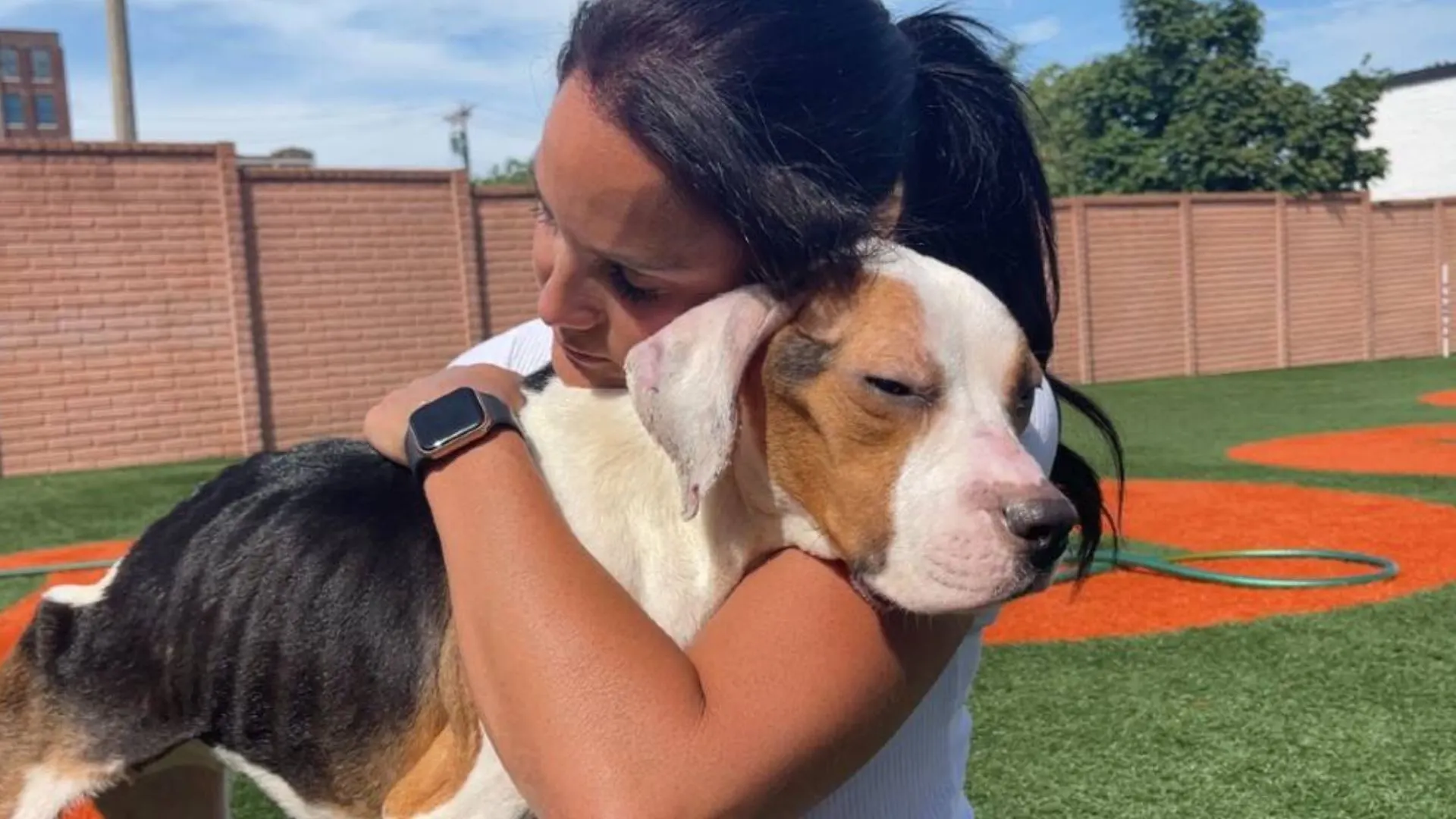 Perro que no podía sostenerse por sí solo se transforma en el insecto enamorado más dulce