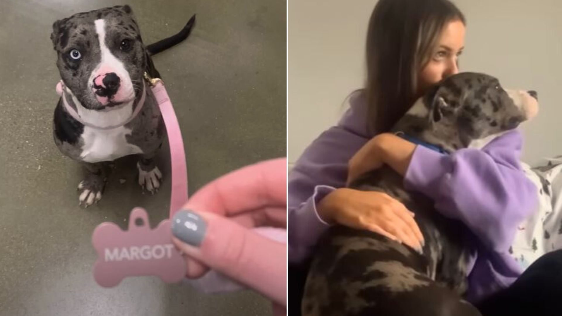 woman holding the rescued dog