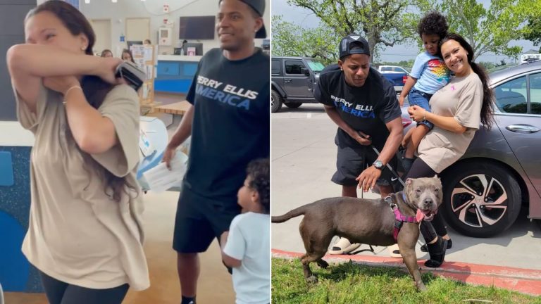 family with theis missing dog