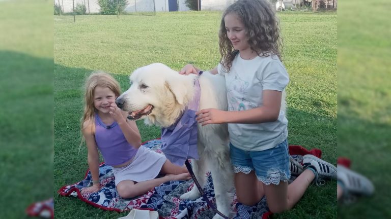 Family Saved From Boat Fire By Hero Dog
