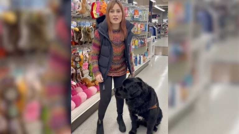 Guide Dog Leads Woman