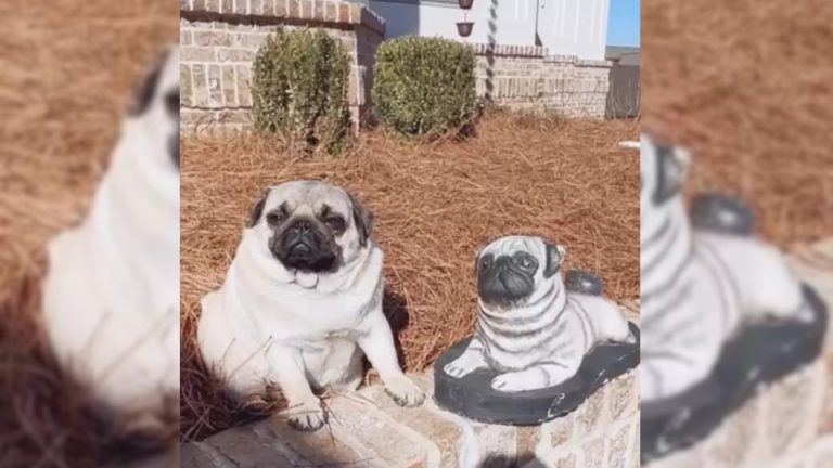 maggie fell in love with statue