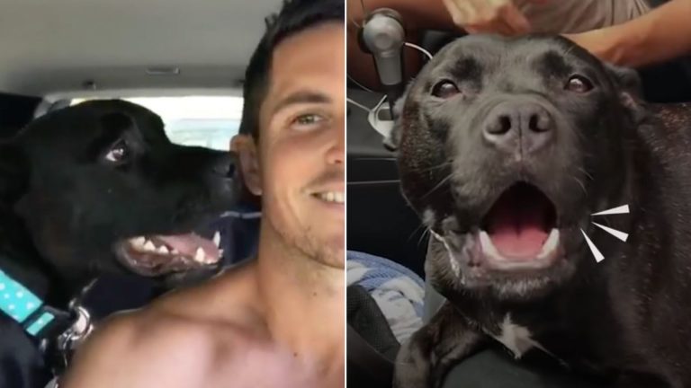 photo of a man and his adopted dog