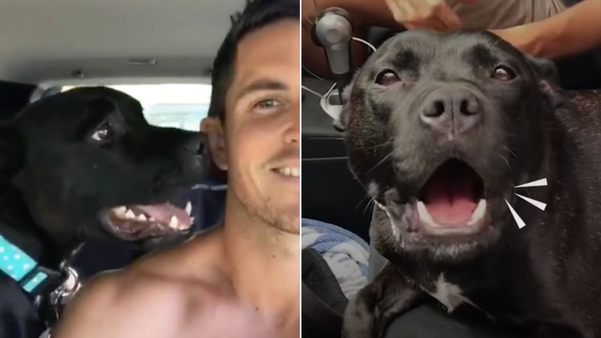 photo of a man and his adopted dog