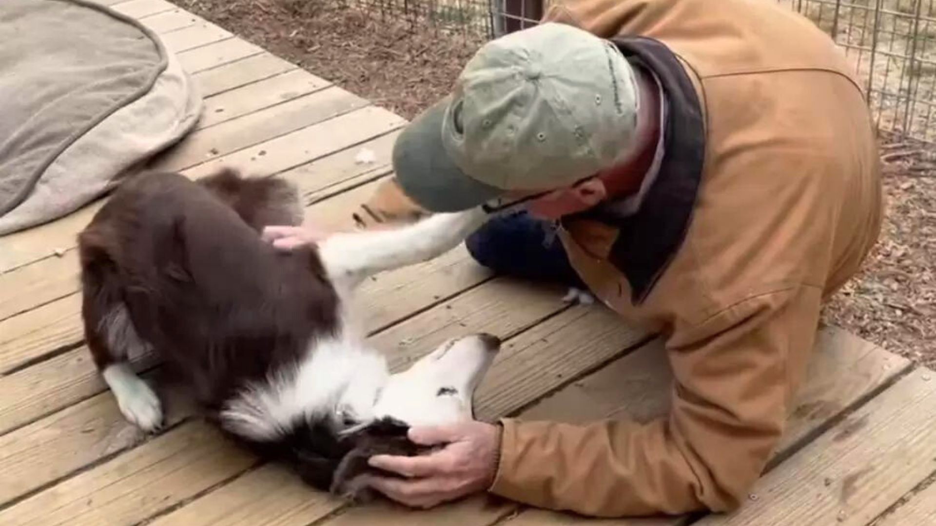 man petting the dog