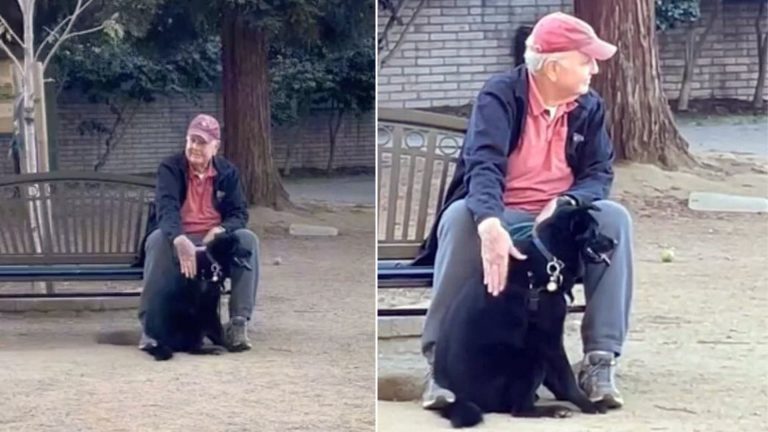 man with dog cudlles
