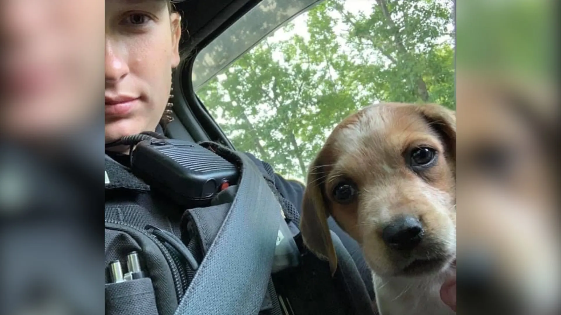 Oficial de policía adopta un cachorro abandonado después de salvarla de la calle