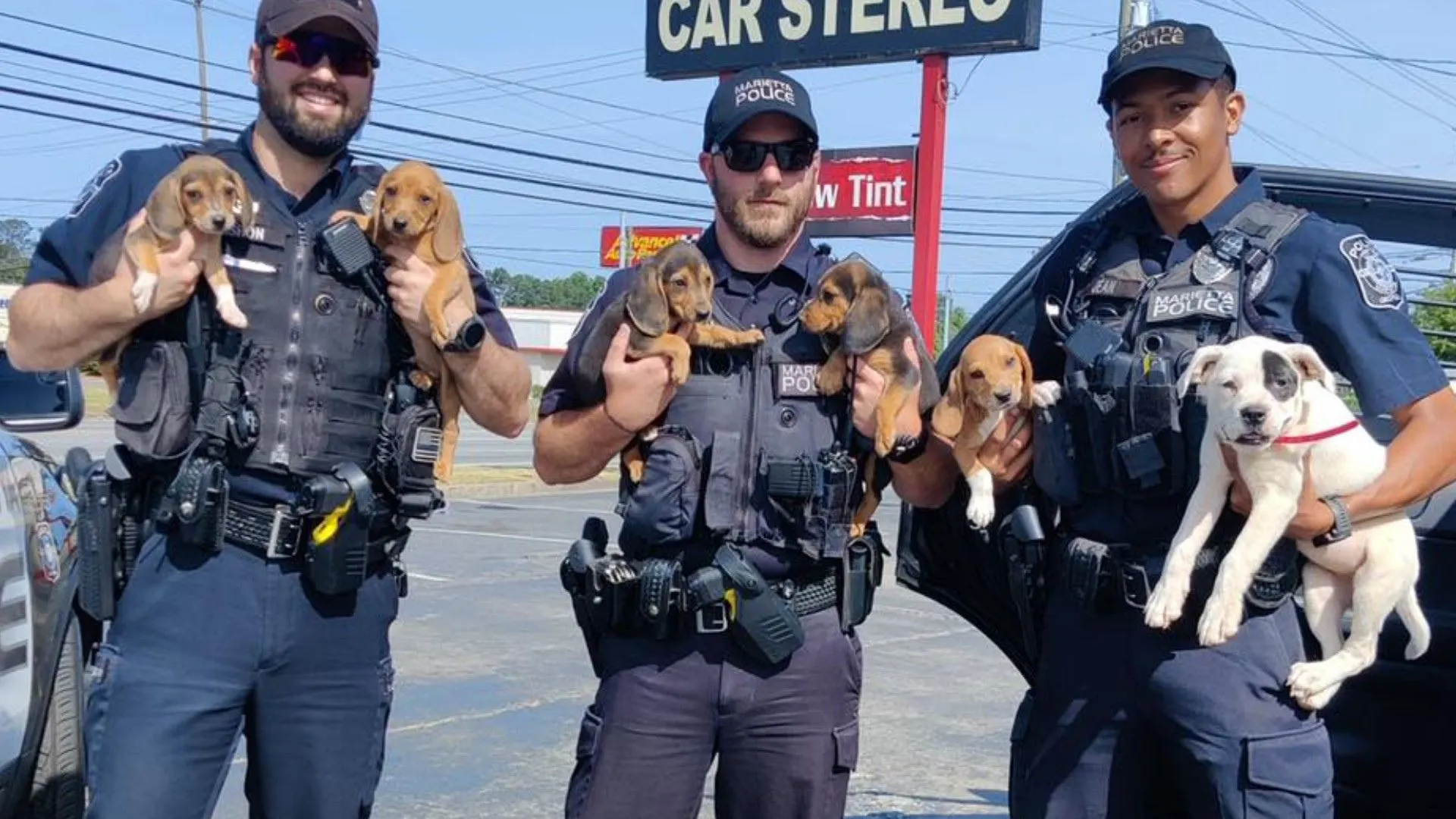 police officers holding runaway puppies