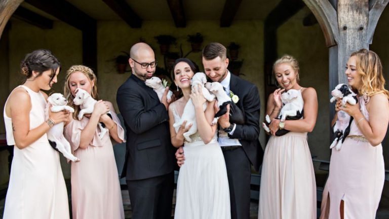 people at the wedding holding puppies