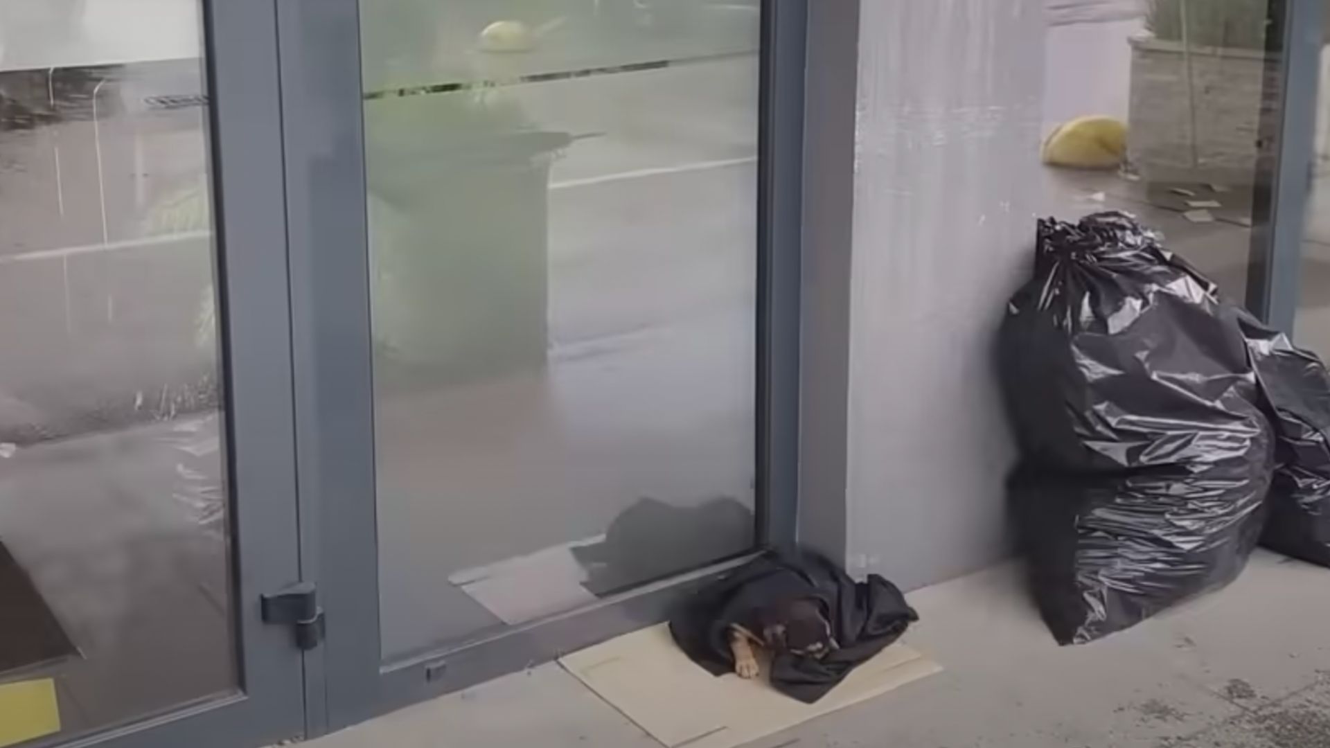 People Shocked To Find An Abandoned Dog In Front Of A Bank With Only A Blanket