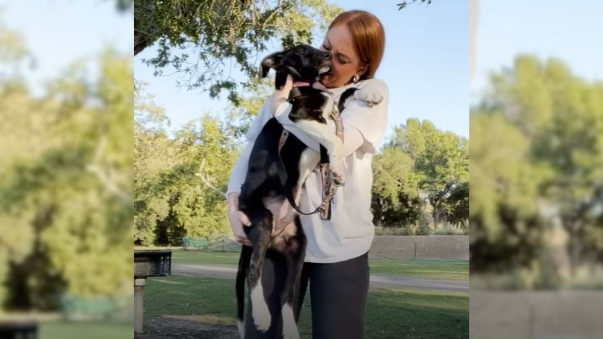happy woman with dog outdoor