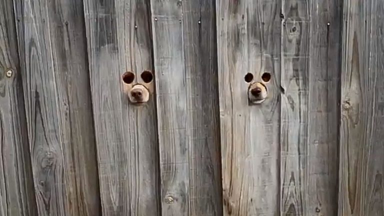 Woman Shocked By Two Mysterious Peepholes