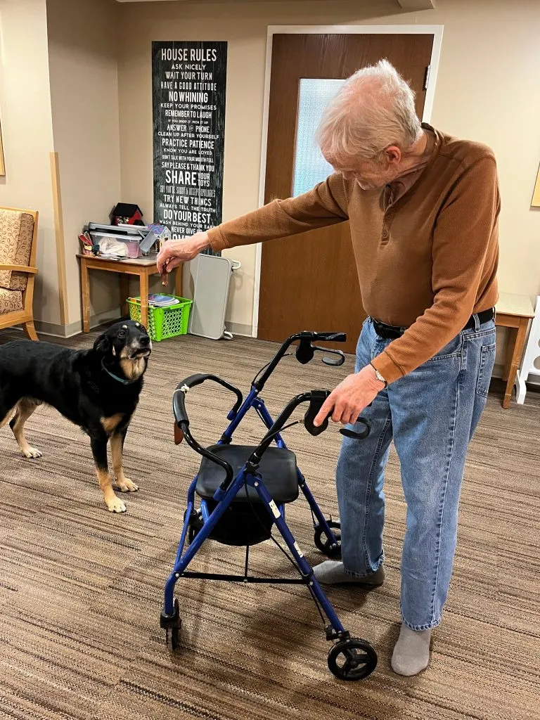 a man with a wheelchair gives a dog a treat