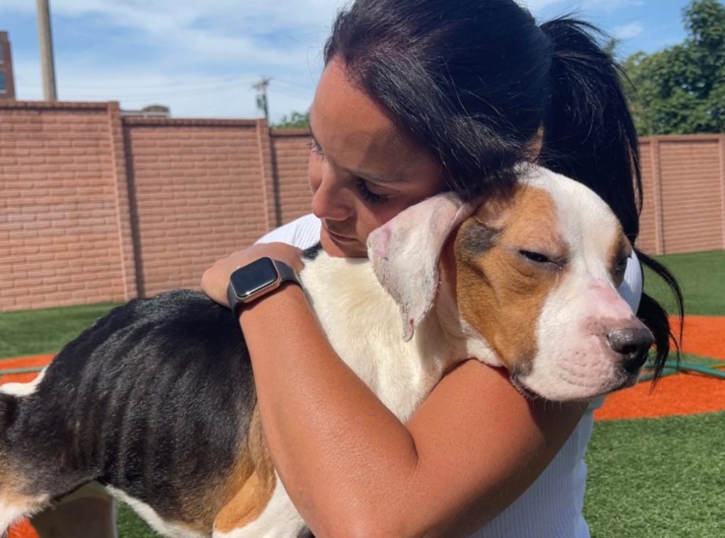 a woman with tied hair holds a dog in her arms