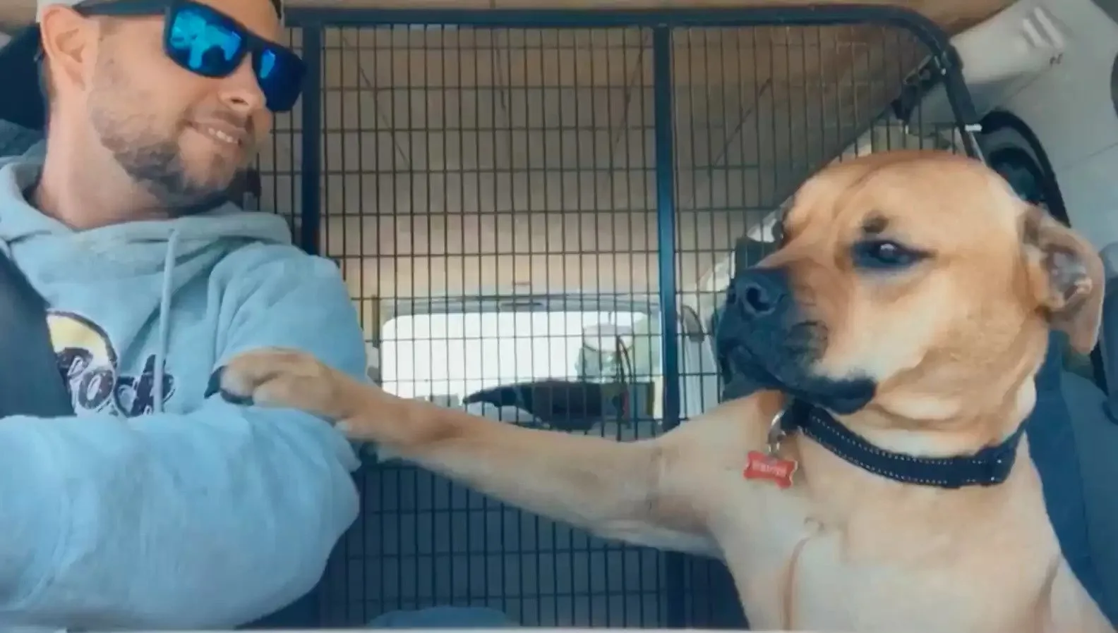 abandoned dog holding his paw on man's arm in a car