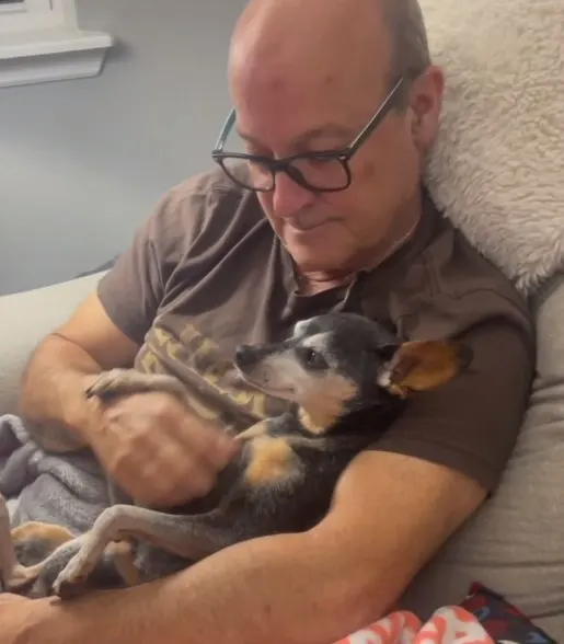 un anciano con gafas sostiene a un perro en sus brazos y lo acaricia