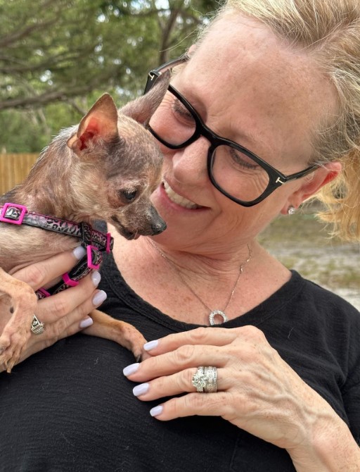 an elderly woman with glasses holds a chihuahua puppy in her arms