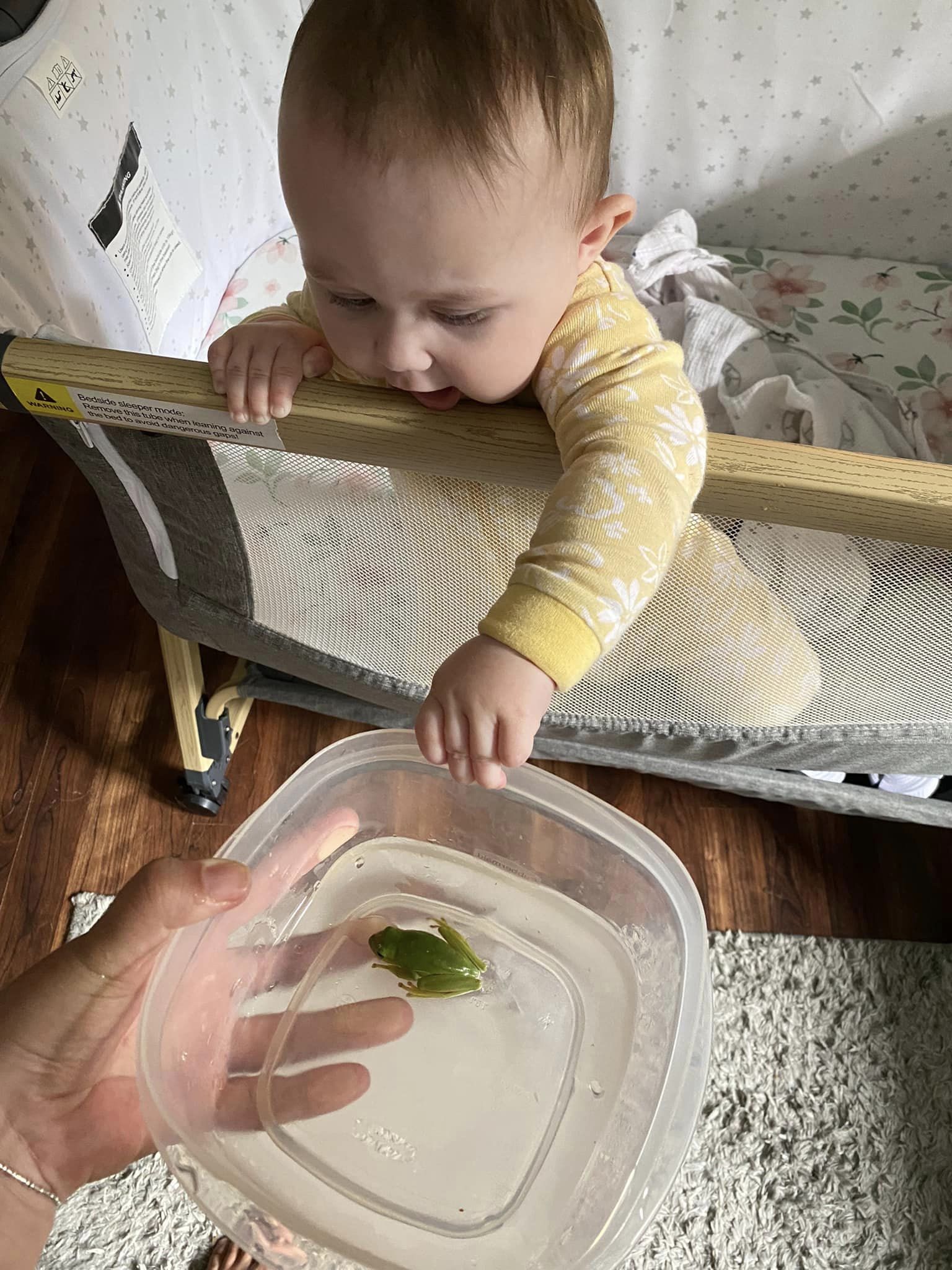 baby and frog