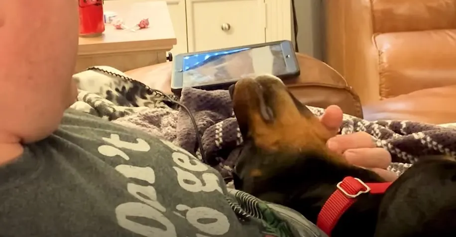 perro negro y dueño jugando juntos