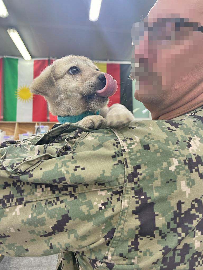 commander holding the stray puppy named griffin