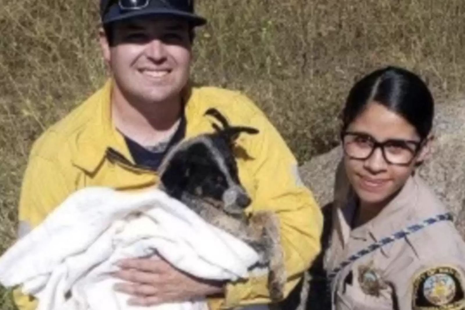 construction worker holding the rescued dog