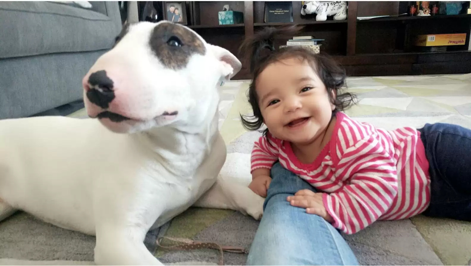 dog lying on the floor next to a baby