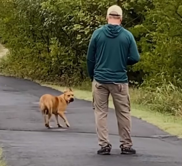 dog running away from a man