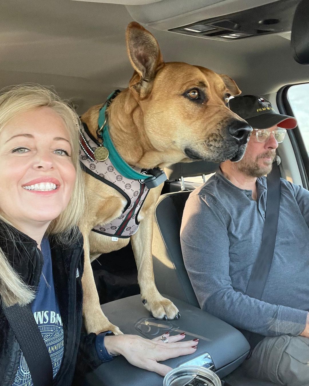 dog scooby in a car with a man and a woman