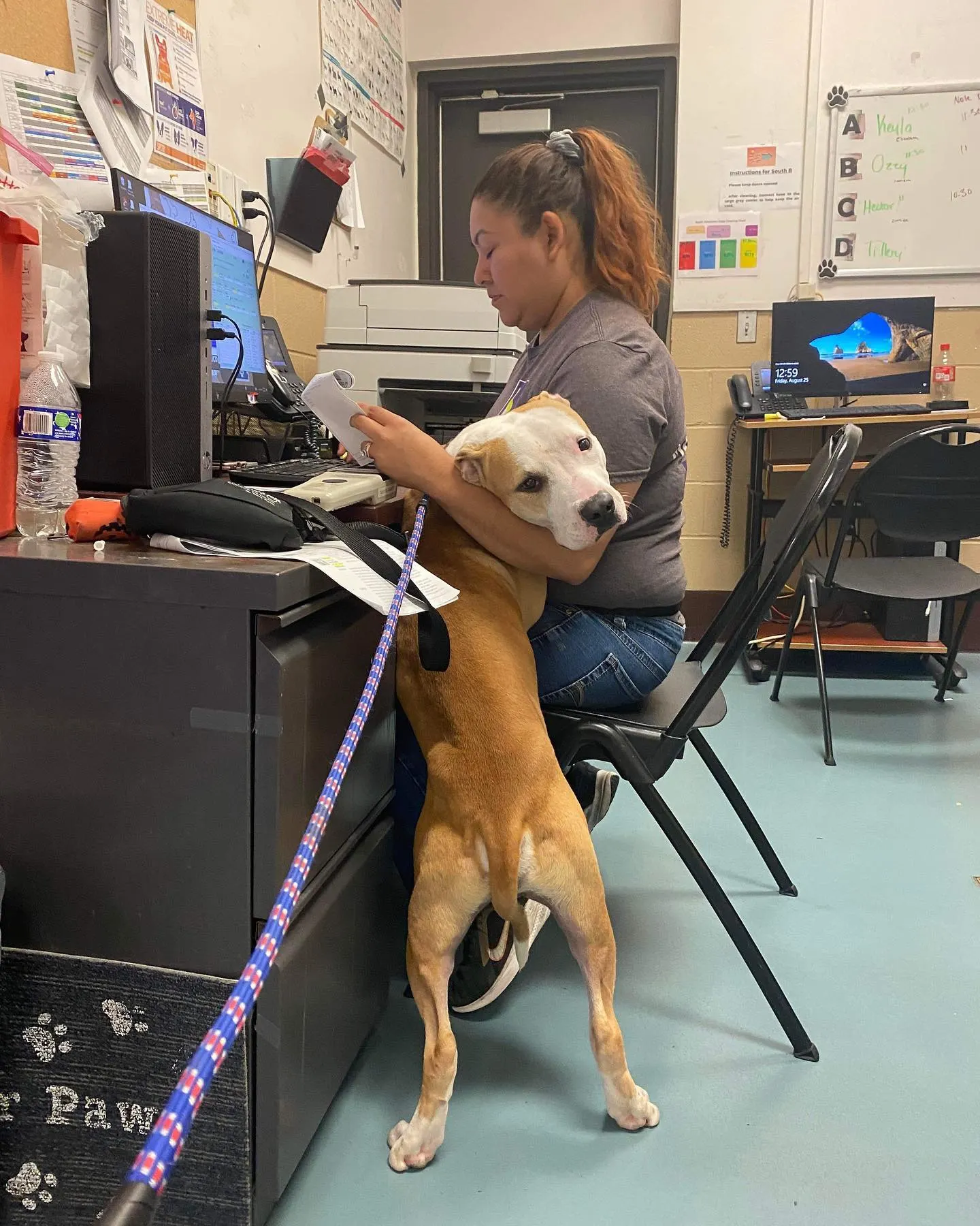 dog standing by the woman in the office