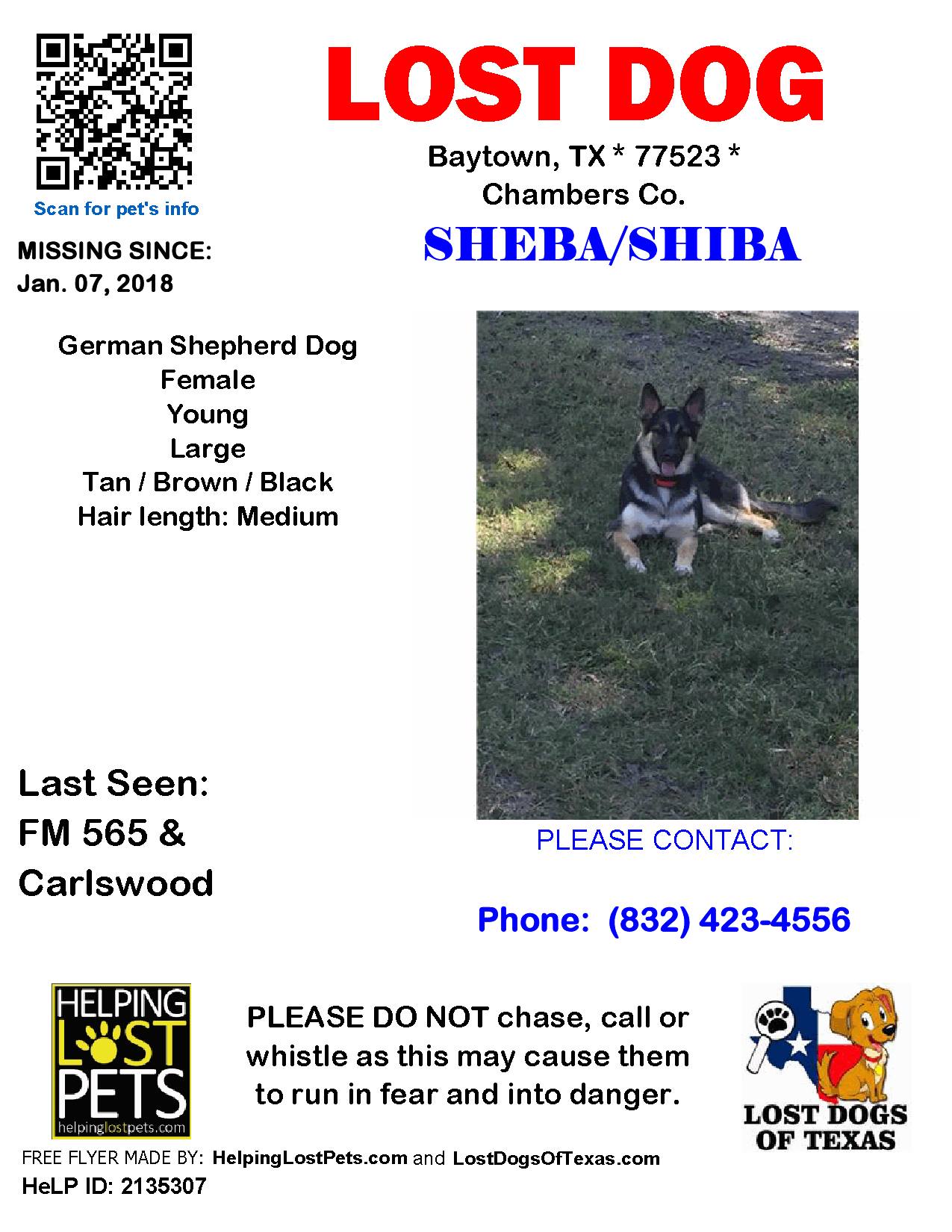 flyer of the missing dog