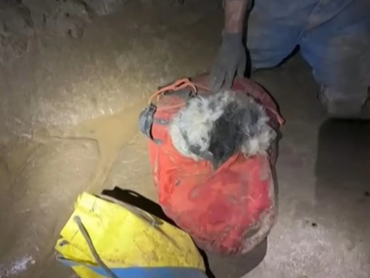 guy and dog in a cave