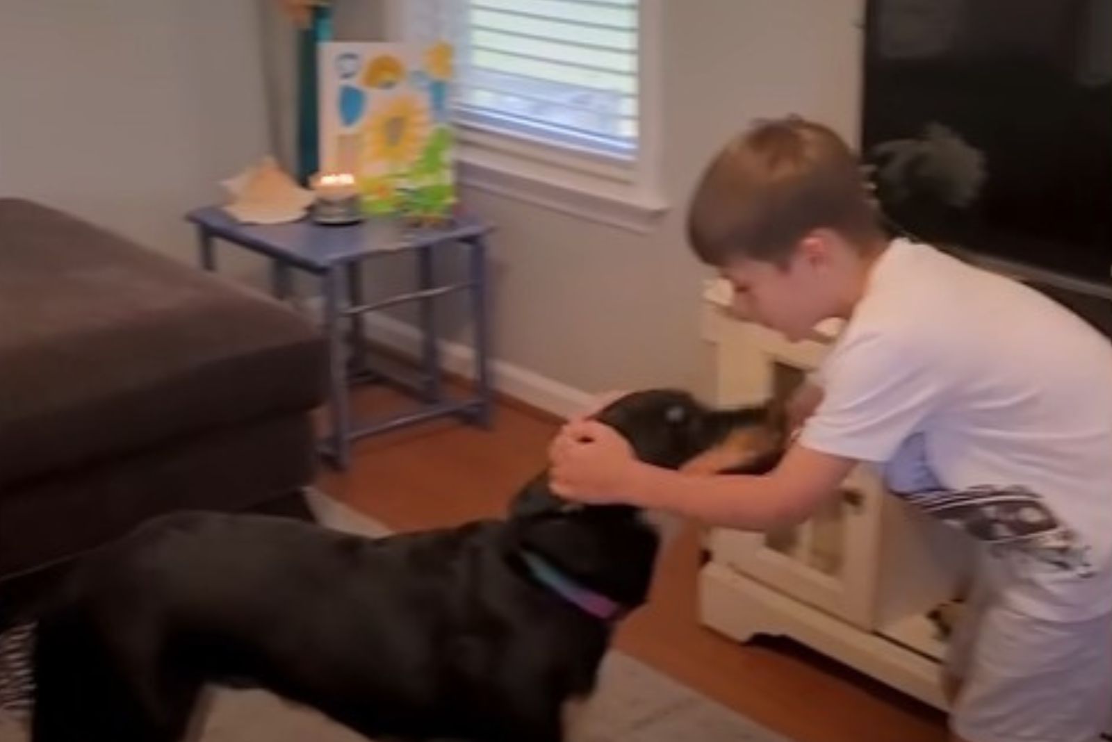 kid playing with the dog
