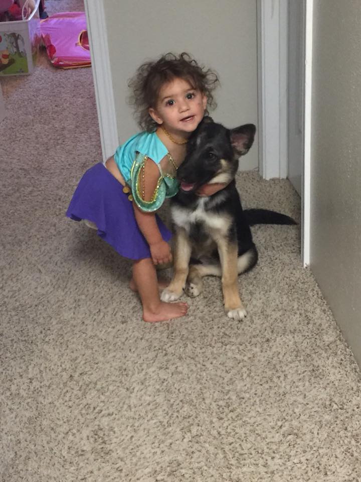 little girl hugging a small pup