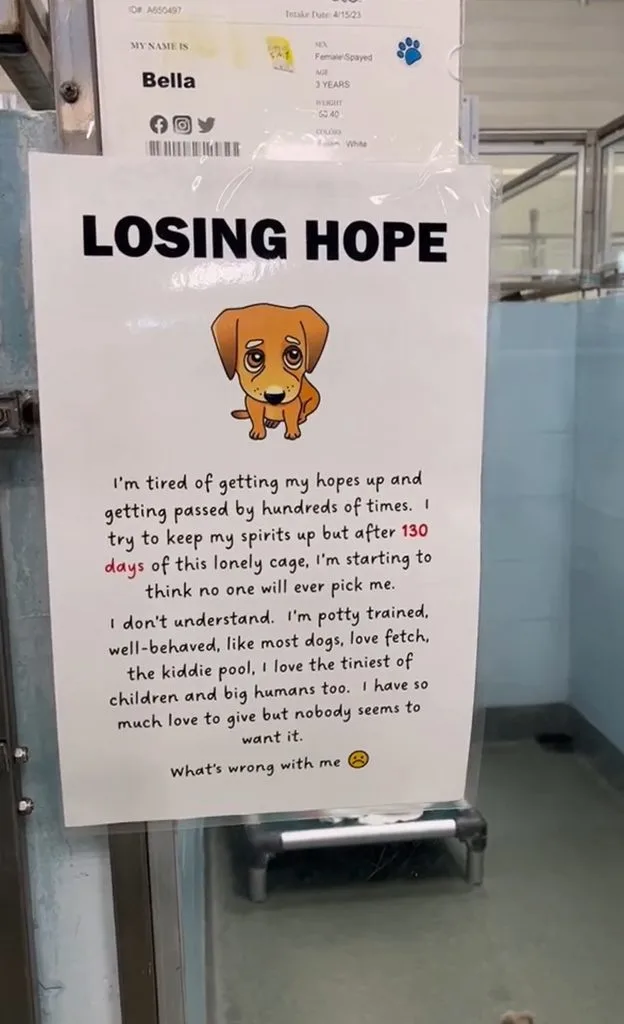 losing hope