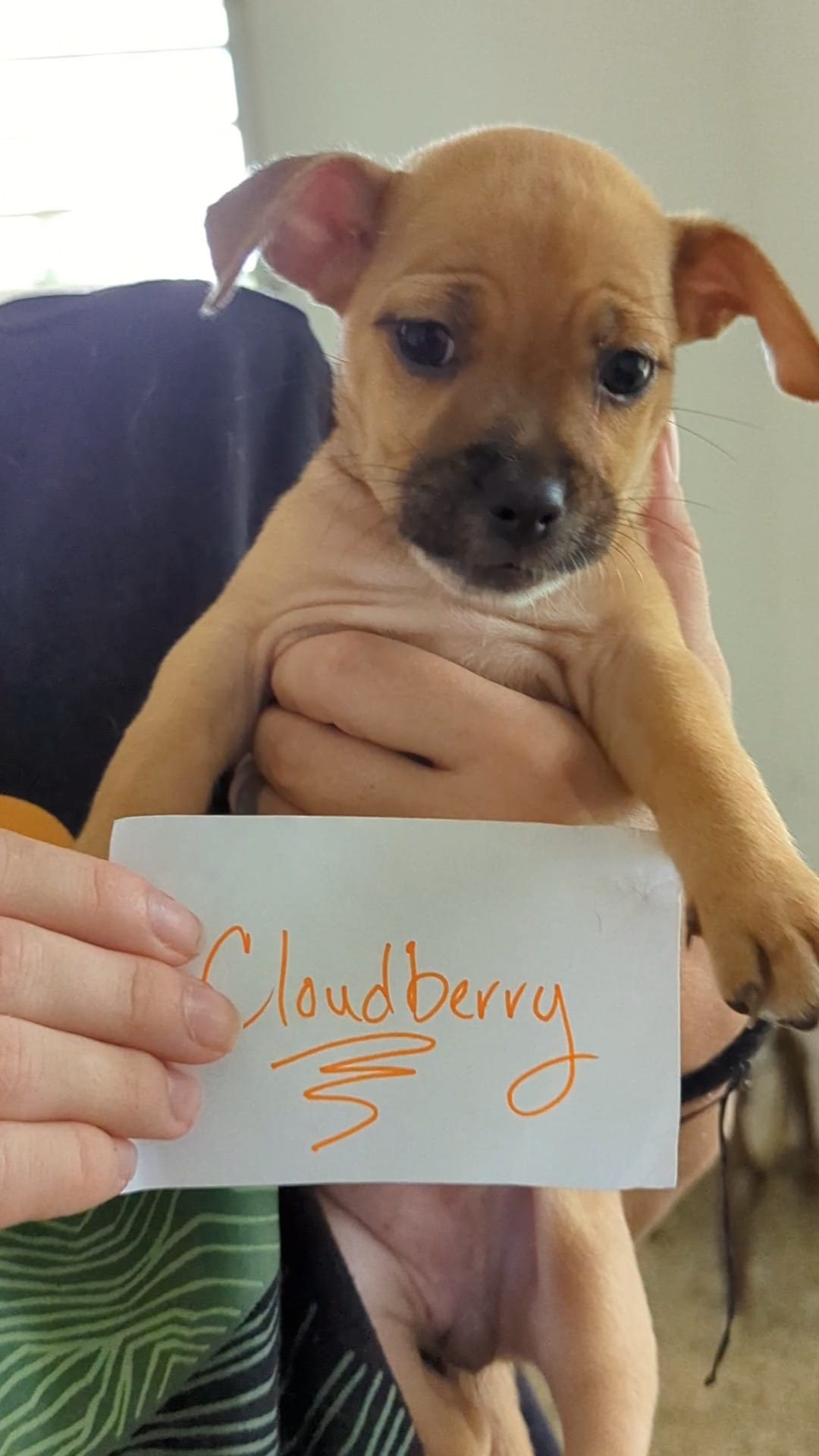 man holding a puppy and a paper with his name