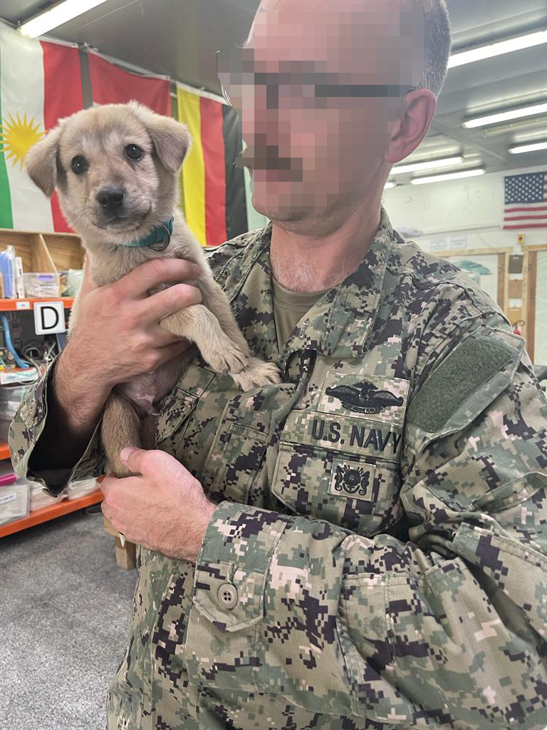 man in an army uniform holding the stray puppy