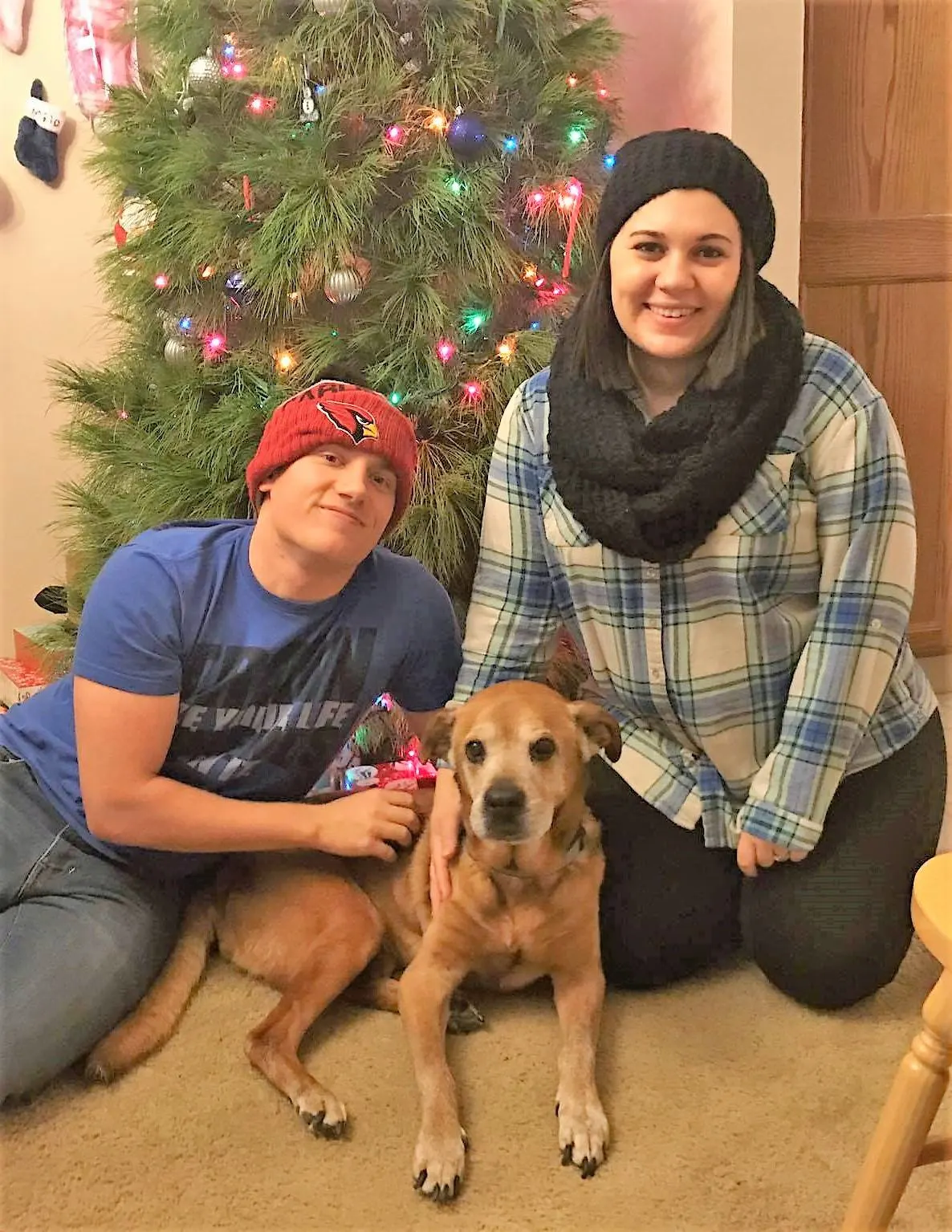 man, woman and a dog sitting by a christmas tree