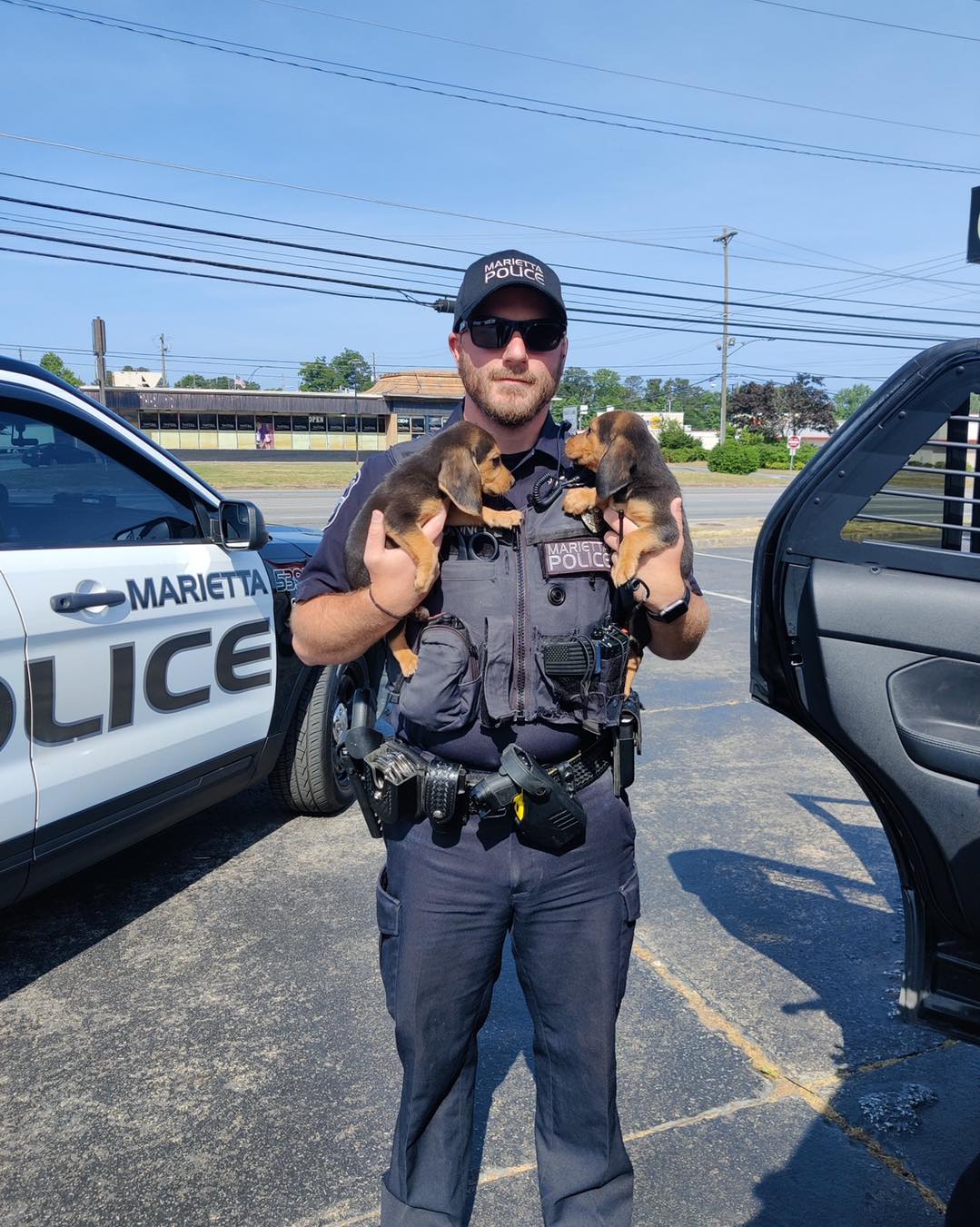 officer holding two puppies